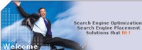 Search Engine Optimization by Searchfit.us