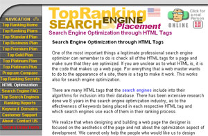 Search Engine Optimization by 101SearchEngine.com