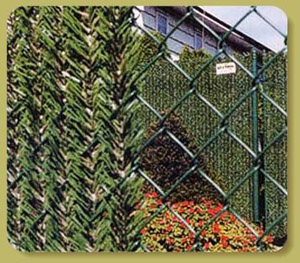 Perma-Hedge from perma-hedge.com