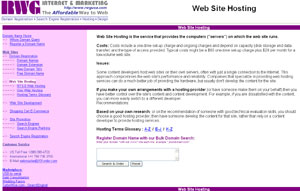 Professional Web Site Hosting by hosting.101order.com