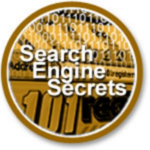 Search Engine Optimization  by 101topranking.com