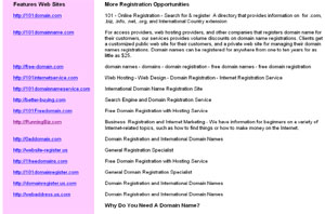 Web Site Registration by register-domain.101order.com